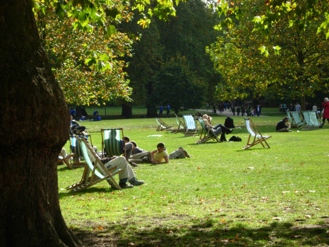 Immagine multimediale: Un nuovo parco pubblico a Pregassona (area Capannone)